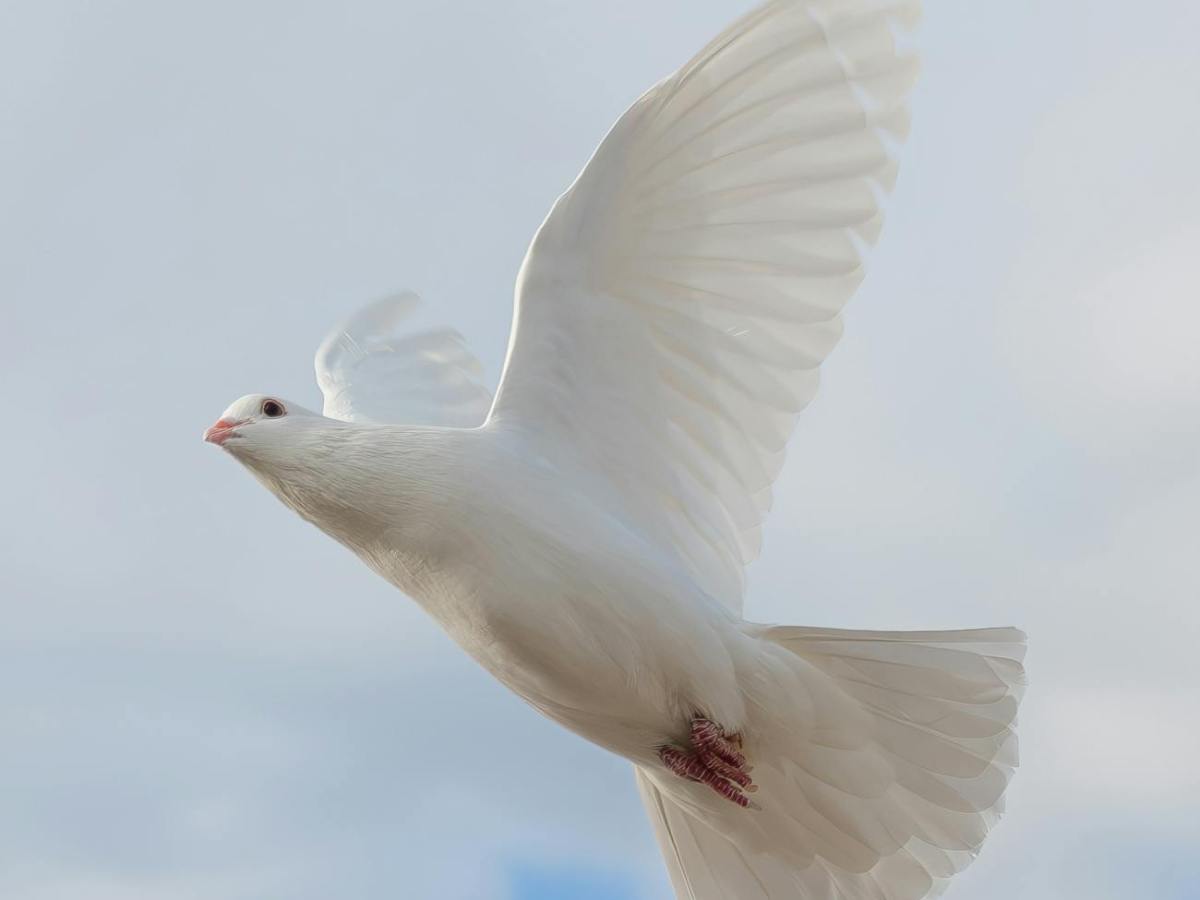 Yes the Supernatural is&nbsp;REAL